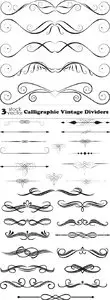 Vectors - Calligraphic Vintage Dividers