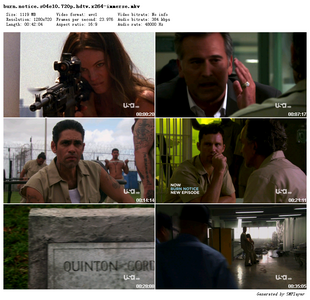 Burn Notice S04E10