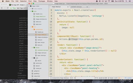 Build Web Apps with React JS and Flux (2015)