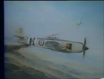 Sea Fury at War