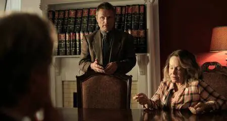 Vengeance: A Love Story (2017)