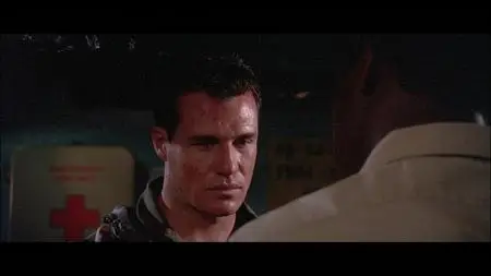 Flight of the Intruder (1991)