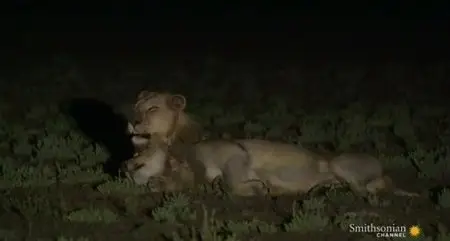 Smithsonian Channel - The Real Lion Queen (2014)