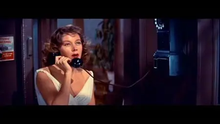 The Cobweb (1955)