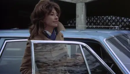 The Love Ban (1973)