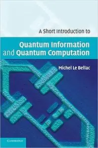 A Short Introduction to Quantum Information and Quantum Computation