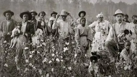 Finding Your Roots S04E04
