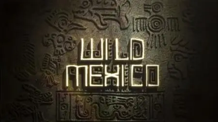 Animal Planet: Wild Mexico (2013)
