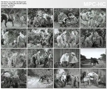 Fury (Brave Stallion) - Complete Season 4 (1958)