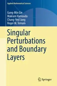 Singular Perturbations and Boundary Layers