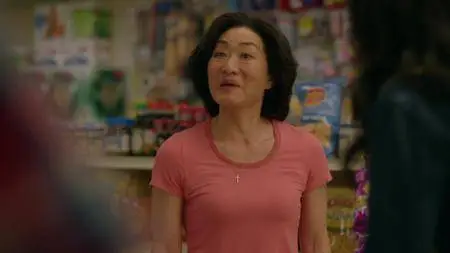 Kim's Convenience S02E06