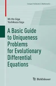 A Basic Guide to Uniqueness Problems for Evolutionary Differential Equations