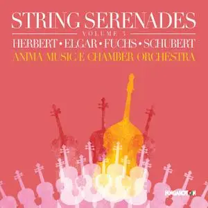 Anima Musicæ - String Serenades, Vol. 3 (2021) [Official Digital Download 24/96]