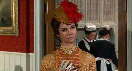 The Plainsman (1966)