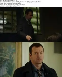 Blue Bloods S01E20 - E21 - E22