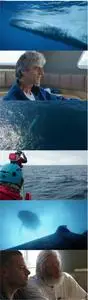 The Loneliest Whale: The Search for 52 (2021)