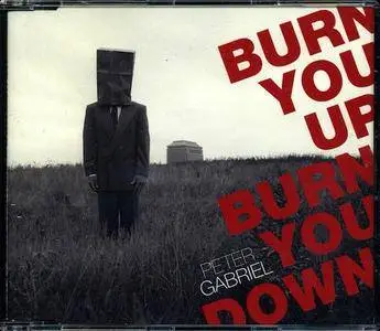 Peter Gabriel - Burn You Up, Burn You Down (2003)
