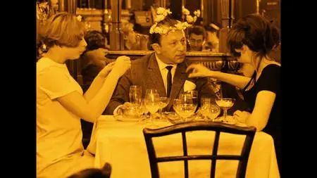 Daisies / Sedmikrásky (1966) [The Criterion Collection]