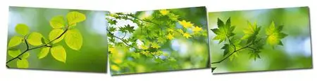 Green Lives - Ultra High Res - Set 2