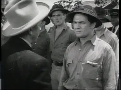 Dust Be My Destiny (1939)