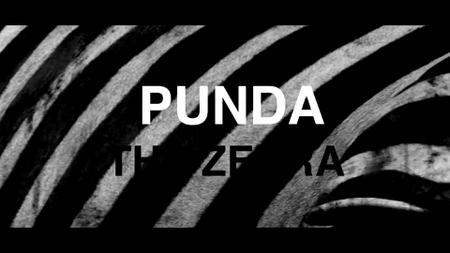 Punda the Zebra (2017)