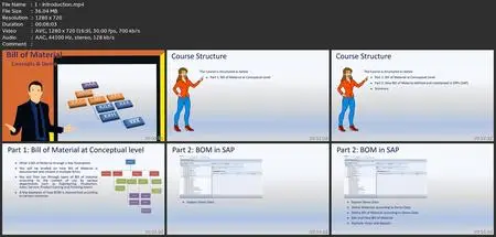 Bill Of Material Concepts & Execution In Sap(Ecc & S/4 Hana)