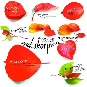 Beautiful leaves in PSD