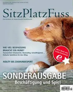 SitzPlatzFuss Special - Nr.1 2015
