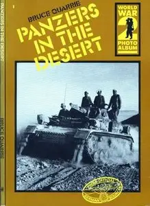Panzers in the Desert (World War 2 Photo Album №1)