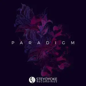 V.A. - Steyoyoke Paradigm Vol. 02 (2018)