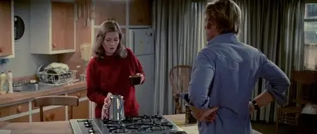 3 Days of the Condor (1975)