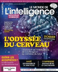 Le Monde de l'Intelligence N 33 - Novembre-Décembre 2013