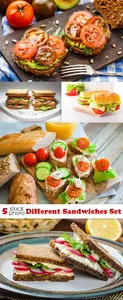 Photos - Different Sandwiches Set