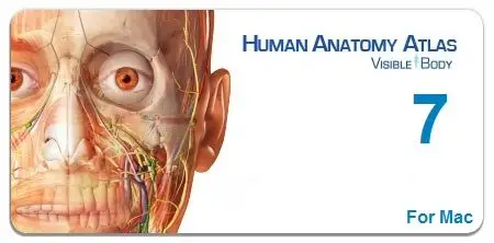 Human Anatomy Atlas v7.4.01