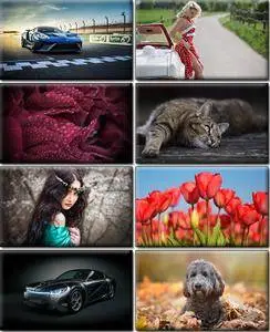 LIFEstyle News MiXture Images. Wallpapers Part (1227)