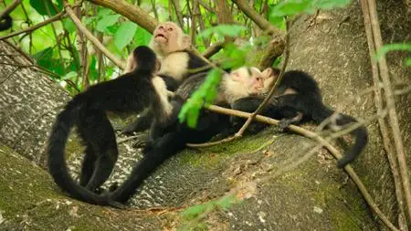 Wild Babies S01E04