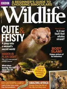 BBC Wildlife - August 2016