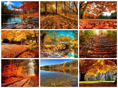 50 Beautiful Autumn HD Wallpapers Set