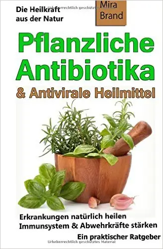 Pflanzliche Antibiotika & Antivirale Heilmittel: Die Heilkraft aus der Natur