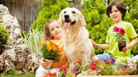 Relieve Pet Anxiety With An Easy To Plant Scent Garden