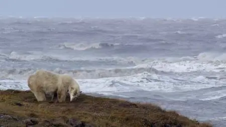 Smithsonian Earth - Arctic Secrets: Series 1 (2015)