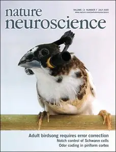 Nature Neuroscience - July 2009