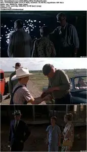 Secondhand Lions (2003) [Reuploaded]