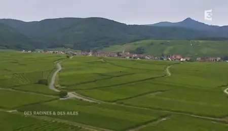 (Fr3) Des racines et des ailes : Passion patrimoine, de l'Auvergne à l'Alsace (2012)