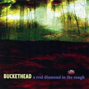 Buckethead - A Real Diamond In The Rough (2009)