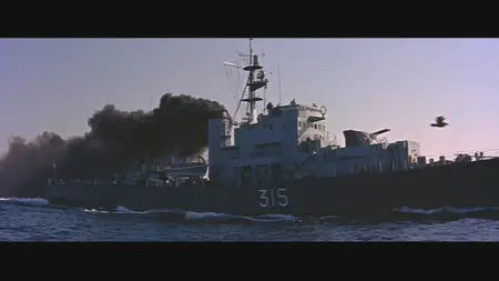 The Sea Chase (1955)