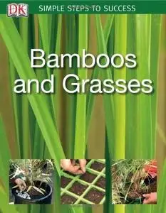 Bamboos and Grasses (Repost)
