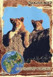 The Wild World: Big cats / Дикий мир: Большие кошки (1999)