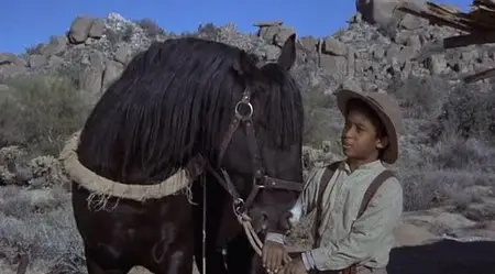 Man and Boy (1971)