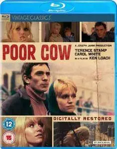 Poor Cow (1967)